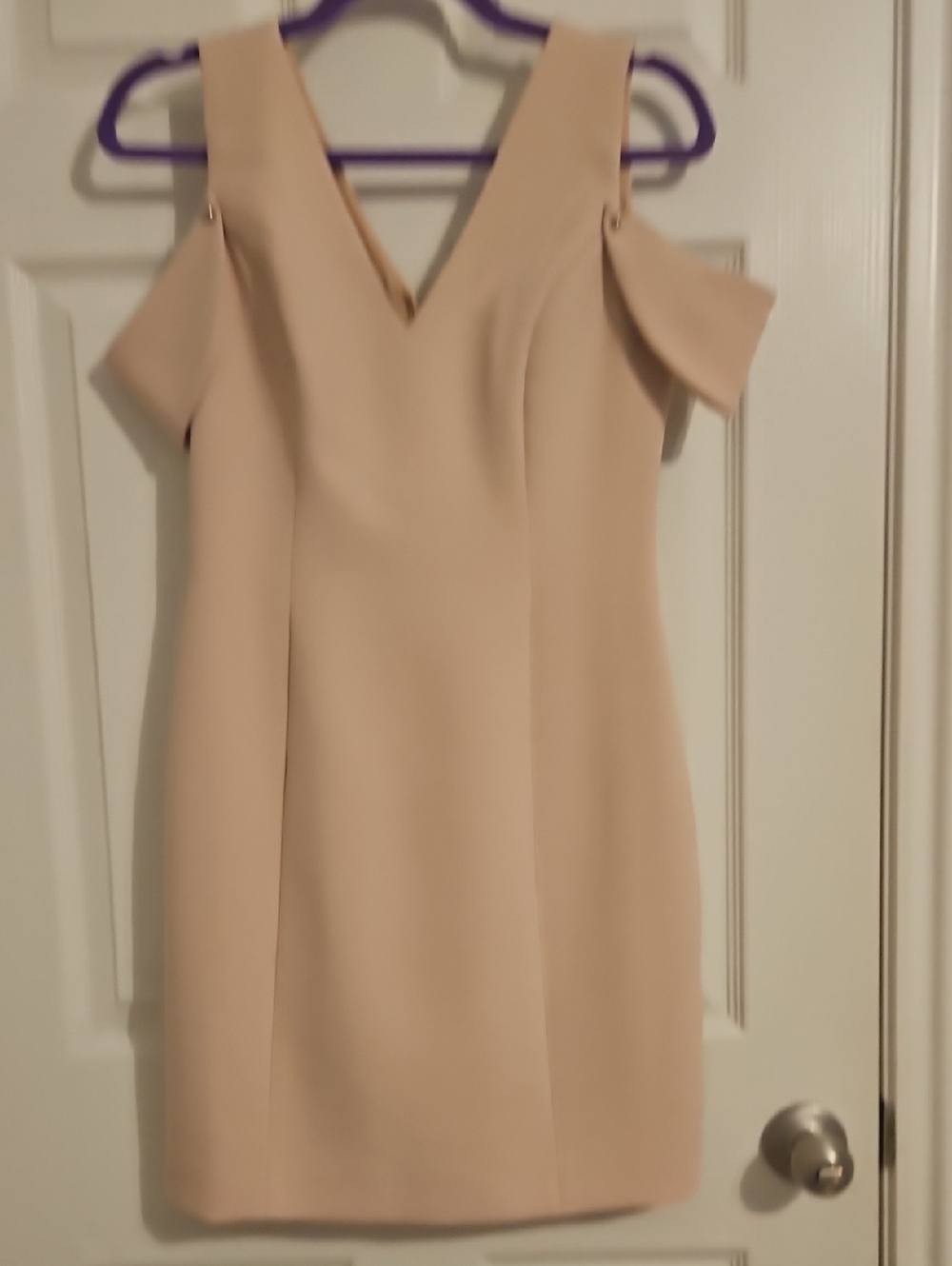 BCBGMaxAzria Blush Sheath Dress in Blush
